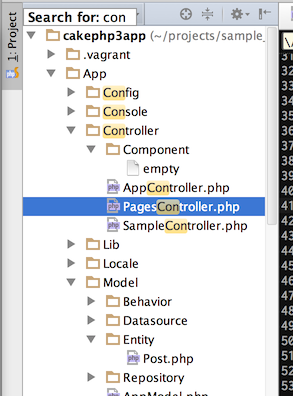 20140205tanaka_phpstorm_search07.png